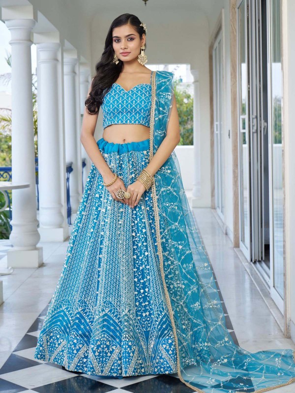 Aqua Blue Butterfly Net Lehenga Choli